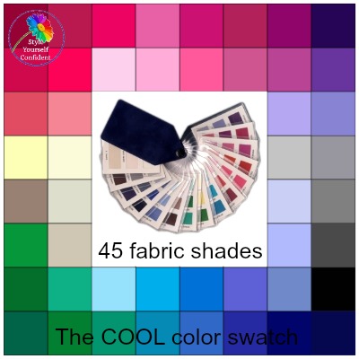 cool tonal coloring cool color family color analysis swatch httpwww