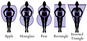 Body Type Quiz 1