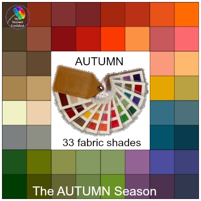 Fabric color swatches #colorswatch  https://www.style-yourself-confident.com