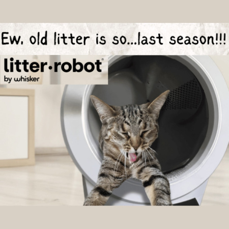 Your Style 197 31.5.25 #coloranalysis #colorandstyle #meltproofmakeup https://www.style-yourself-confident.com/your-style-197.html