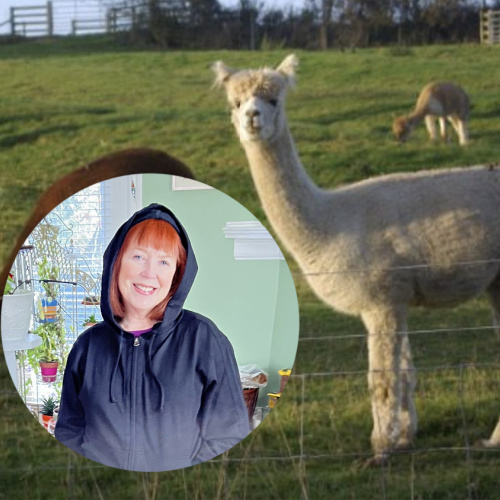 Your Style 188 The Beauty Spotlight Team #beautyspotlightteam #shadesofgreen https://www.style-yourself-confident.com/your-style-188.html