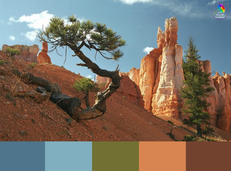 Color Analysis in Nature  #color analysis #color analysis in nature #color palettes https://www.style-yourself-confident.com/color-analysis-in-nature.html