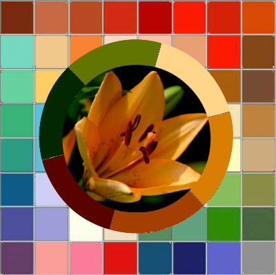 Color Analysis in Nature - nature always gets it right! https://www.style-yourself-confident.com/color-analysis-in-nature.html