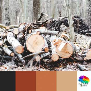 Color Analysis in Nature - nature always gets it right! https://www.style-yourself-confident.com/color-analysis-in-nature.html