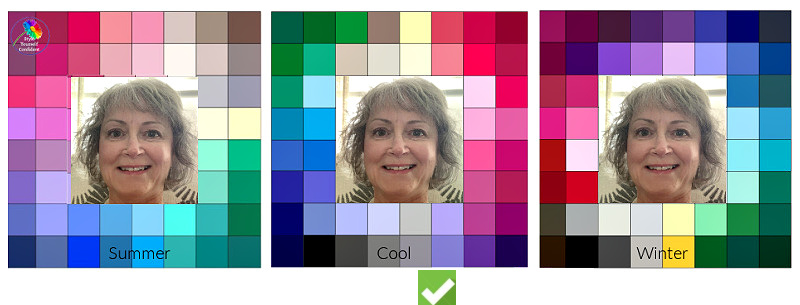 Color Analysis winner #coloranalysiscompetition #coolcolors https://www.style-yourself-confident.com/color-analysis-winner.html