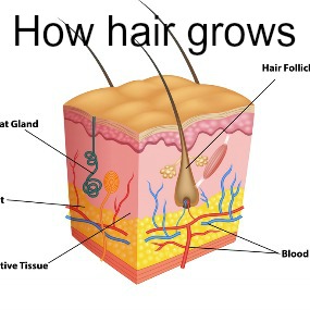 hair care tips