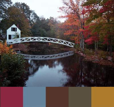 Color Analysis in Nature - nature always gets it right! https://www.style-yourself-confident.com/color-analysis-in-nature.html