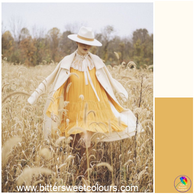 Warm Neutrals the basis of co-ordination #warmneutrals #warmcolors https://www.style-yourself-confident.com/warm-neutrals.html