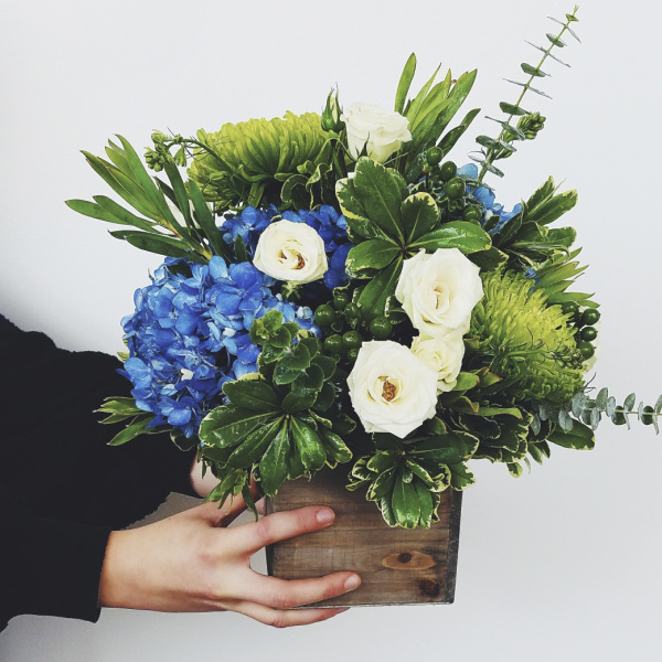 Blue Monday #bluemonday https://www.style-yourself-confident.com/blue-monday.html