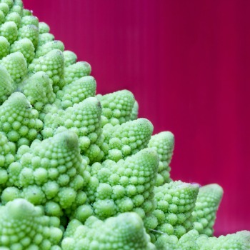 Listen to your body talk #body talk #body language https://www.style-yourself-confident.com/body-talk.html