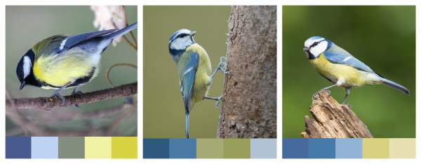 Listen to your body talk #body talk #body language https://www.style-yourself-confident.com/body-talk.html