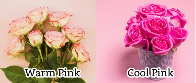 Simply Pink! find the best pink that flatters your complexion #simply pink #warm pink #cool pink https://www.style-yourself-confident.com/simply-pink.html