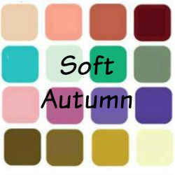 Image result for soft autumn fashion colours