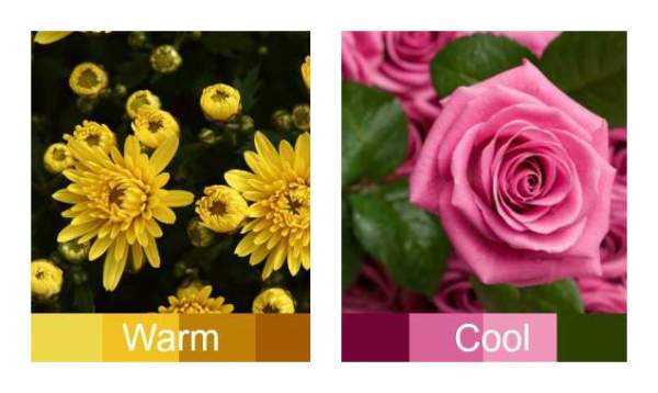 Warm or Cool skin tone #skin tone #warm or cool https://www.style-yourself-confident.com/warm-or-cool-skin.html