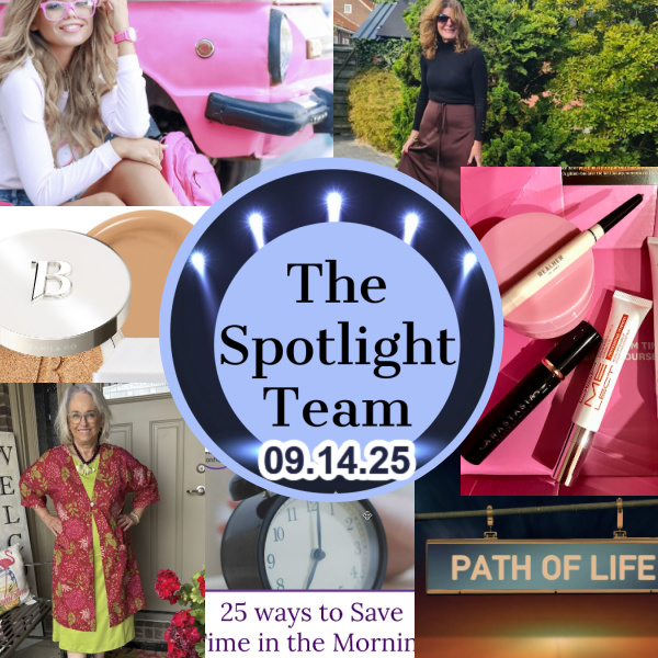 The Spotlight Team - your style 211 #25waystosavetimeinmorning #cosmeticbox #brownandblack #pathoflife https://www.style-yourself-confident.com/your-style-211.html
